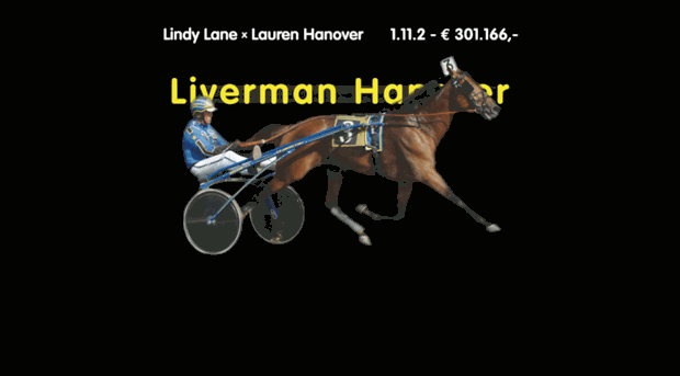 livermanhanover.com