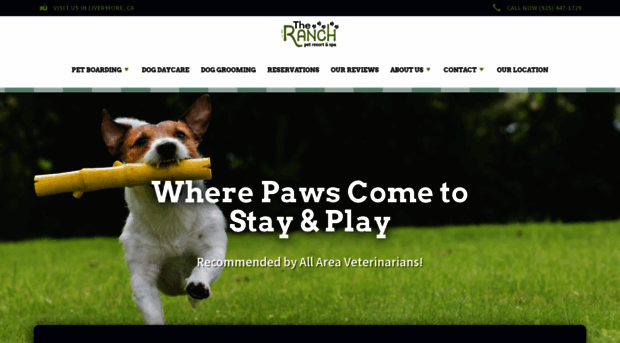 livermoreranchkennels.com