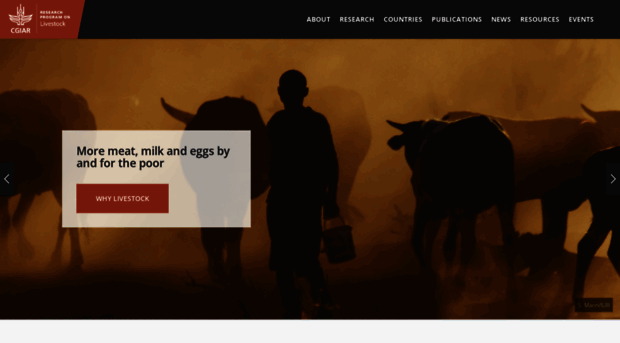 livestock.cgiar.org