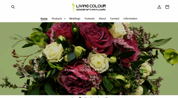 livingcolour.co.nz