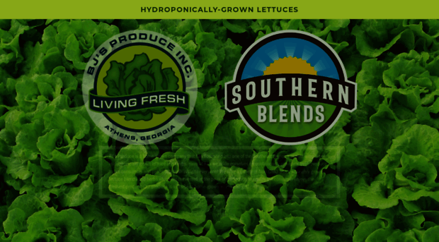 livingfresh.net