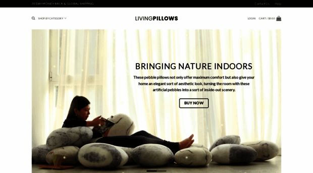 livingpillow.com