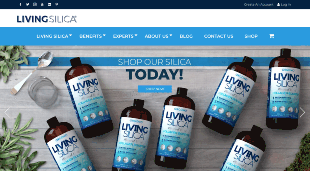 livingsilica.com