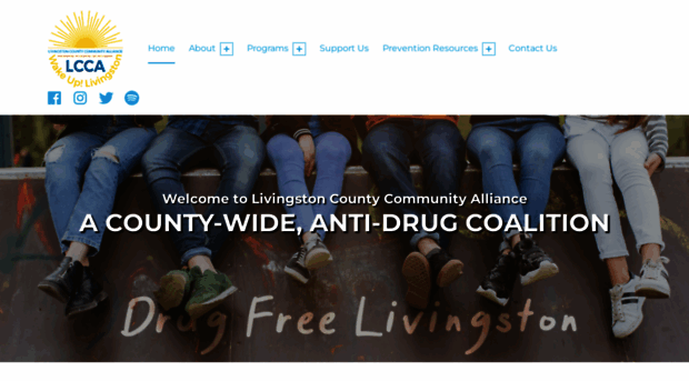 livingstoncountycommunityalliance.org