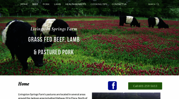 livingstonspringsfarm.com