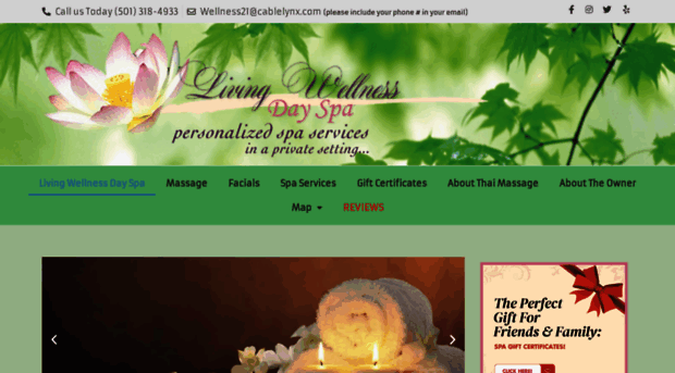 livingwellnessdayspa.com