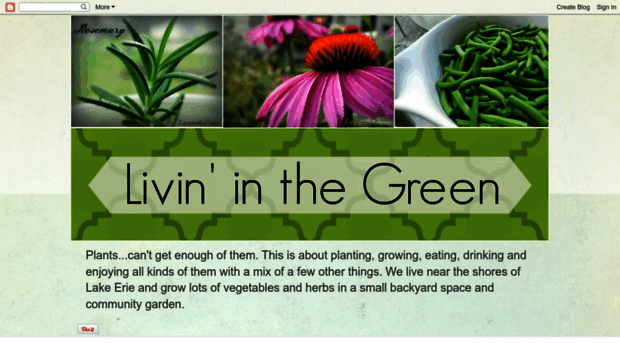 livininthegreen.blogspot.com