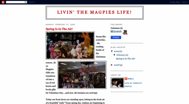 livinthemagpieslife.blogspot.com