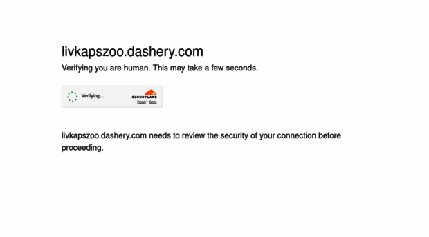 livkapszoo.dashery.com