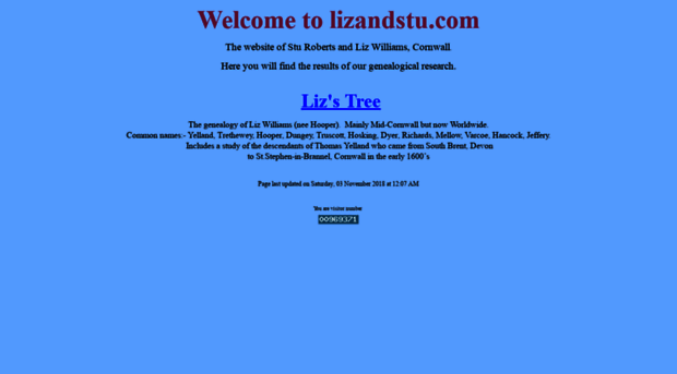 lizandstu.com