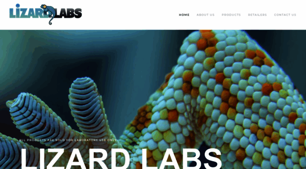 lizardlabs.nl