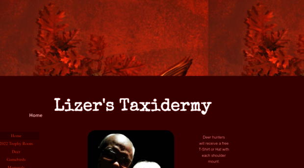 lizerstaxidermy.com