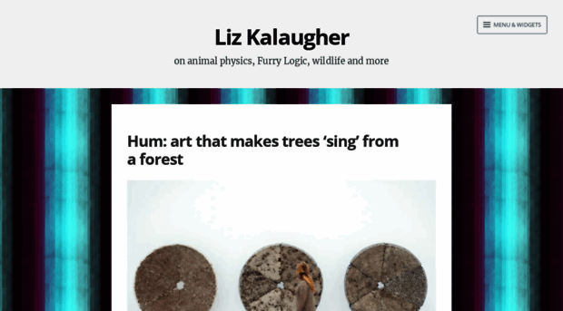 lizkalaugher.net