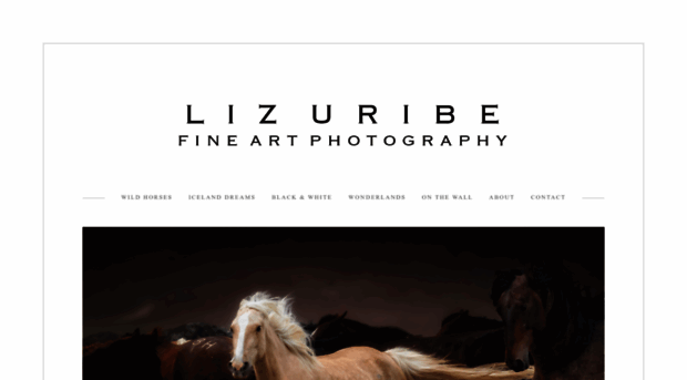 lizuribephotography.com