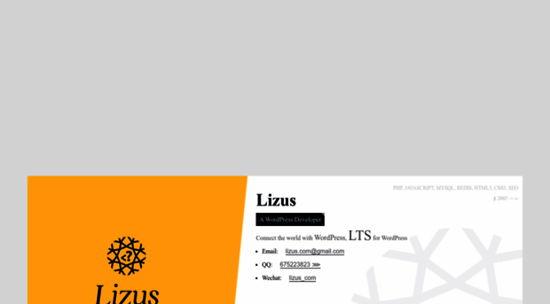 lizus.com