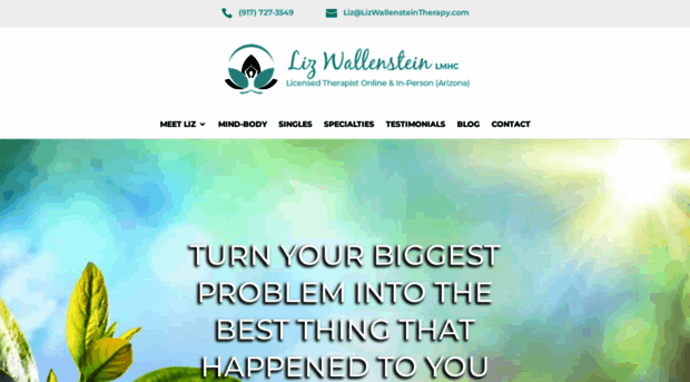 lizwallensteintherapy.com