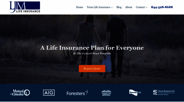 ljmlifeinsurance.com