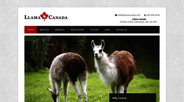 llamacanada.com