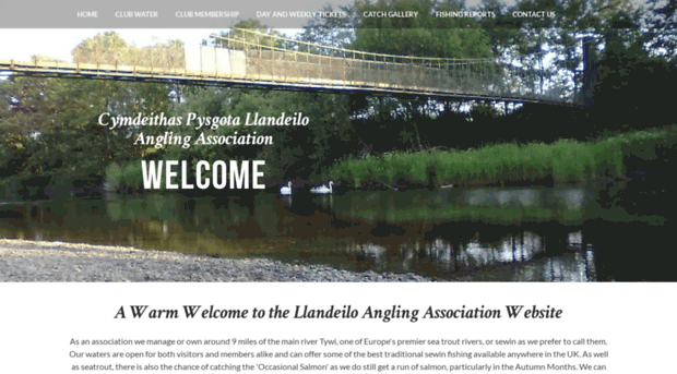 llandeiloangling.co.uk