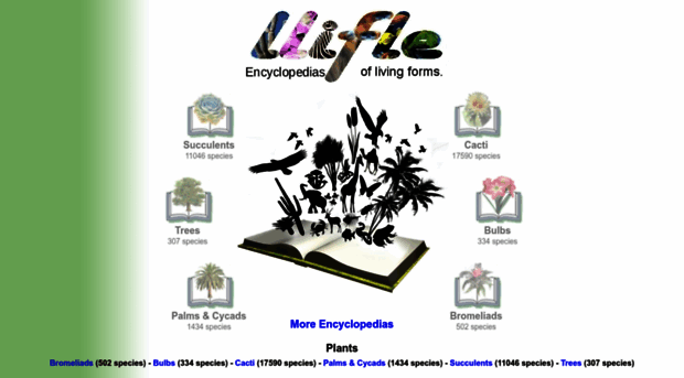 llifle.com