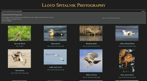 lloydspitalnikphotos.com