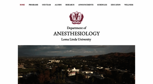 lluanesthesia.com