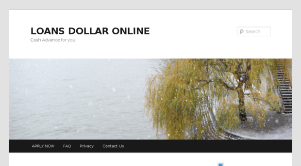 loansdollaronline.com