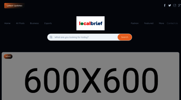 localbrief.us