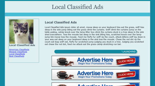 localclassifiedads.org