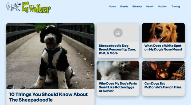 localdogwalker.com