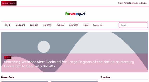 localforumscope.nl