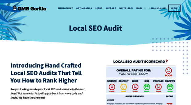 localseoaudits.com