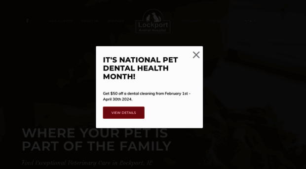 lockportanimalhospital.com