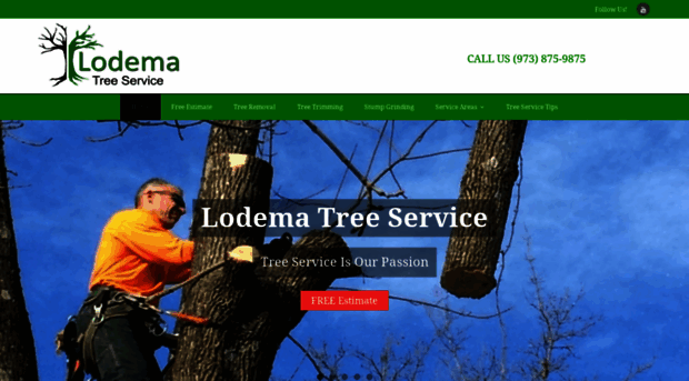 lodematreeservice.com