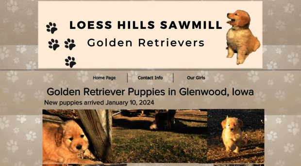 loesshillssawmillgoldenretrievers.com