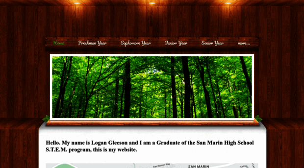 logangleeson.weebly.com