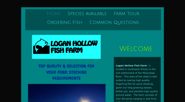 loganhollow.com