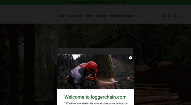 loggerchain.com