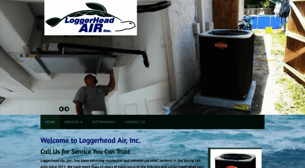 loggerheadair.com