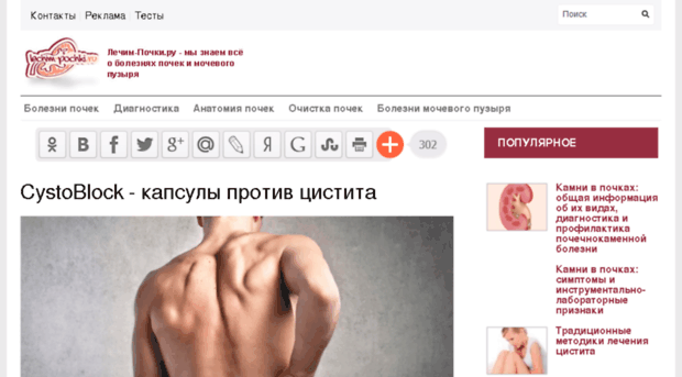 loggia-vrn.ru