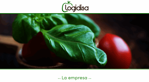 logidisa.es