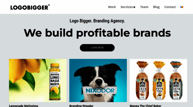 logobigger.ro