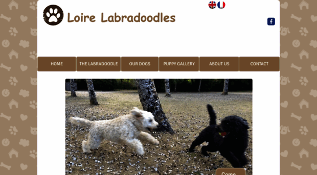 loirelabradoodles.com