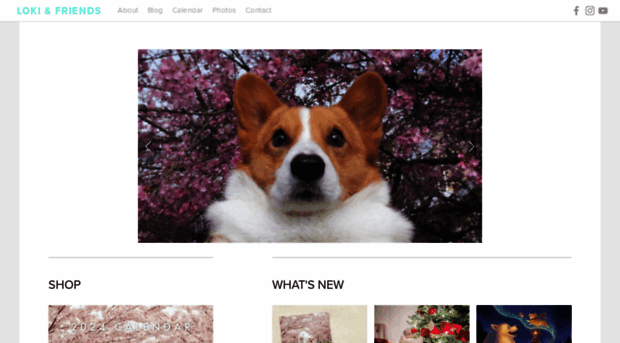 lokithecorgi.com