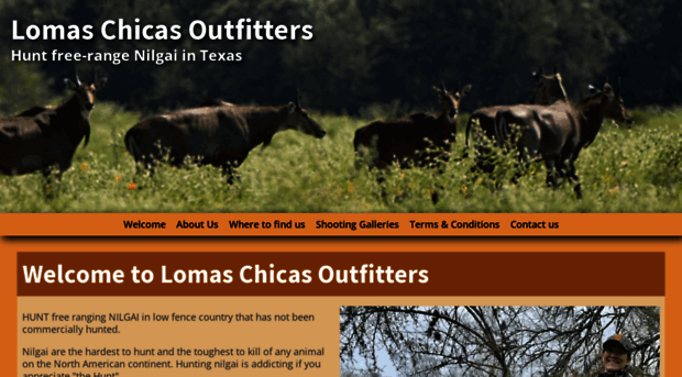 lomaschicasoutfitters.com