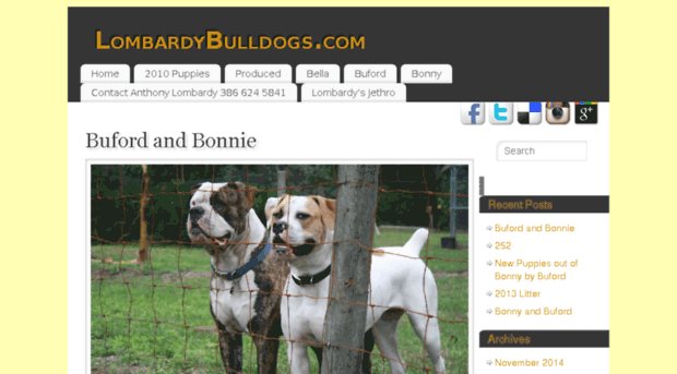 lombardybulldogs.com