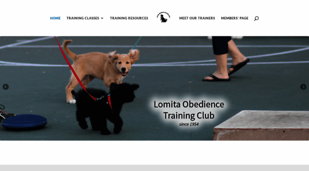 lomitadogtraining.org