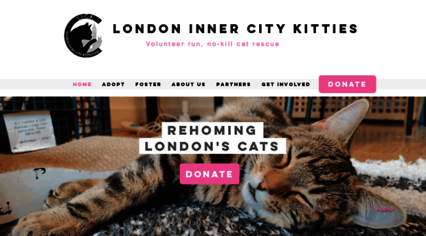 london-inner-city-kitties.org