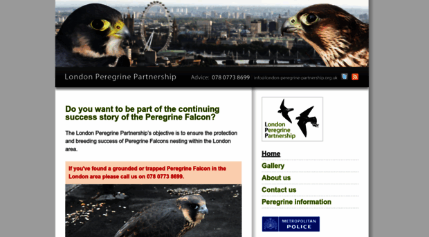 london-peregrine-partnership.org.uk