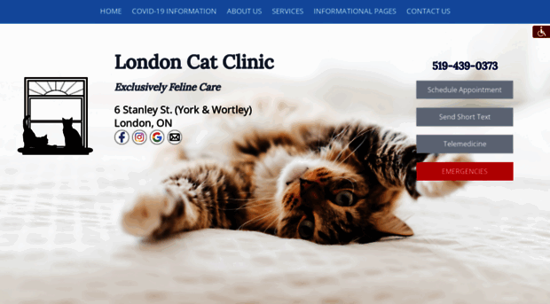 londoncatclinic.com